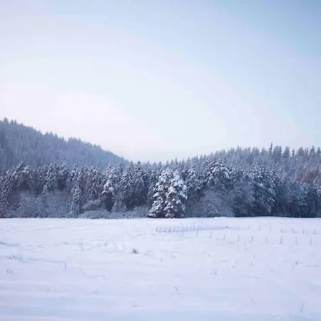 Uroczy W Rabce-zdrój *