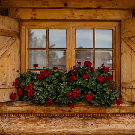 Uroczy W Rabce-zdrój Rabka