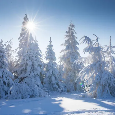 Сasa de vacaciones Uroczy W Rabce-zdrój Rabka