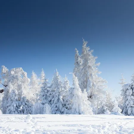 Uroczy W Rabce-zdrój * Rabka