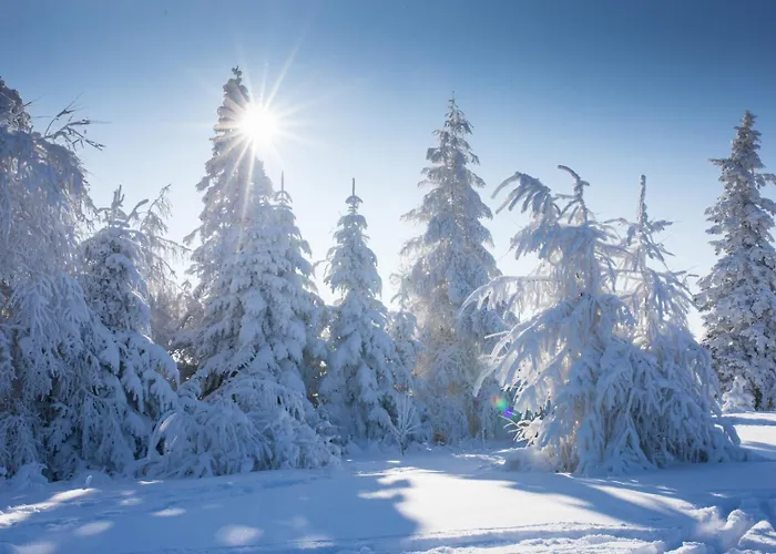 בית נופש Uroczy W Rabce-zdroj רבקה